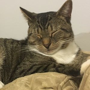 Meet your Posher, Casey